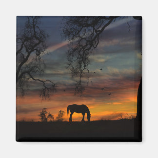 Wunderschönes Südwestpferdmagnet Magnet