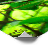 Wunderschönes Waldposter aus Kardinal Poster (Ecke)