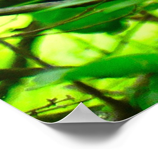 Wunderschönes Waldposter aus Kardinal Poster (Ecke)