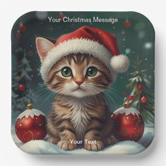 Wunderschönes Weihnachtsglühen Pappteller (Vorderseite)