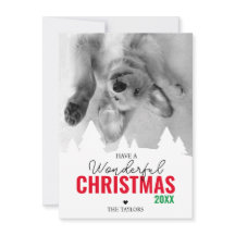 Wunderschönes Weihnachtsgrün-Foto