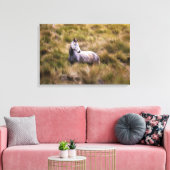 Wunderschönes Weißes Praires Horst Poster Leinwanddruck (Insitu (Wohnzimmer))