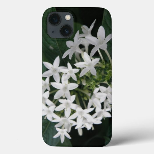 Wunderschönes weißes tropisches Blume iPad Case (Rückseite)