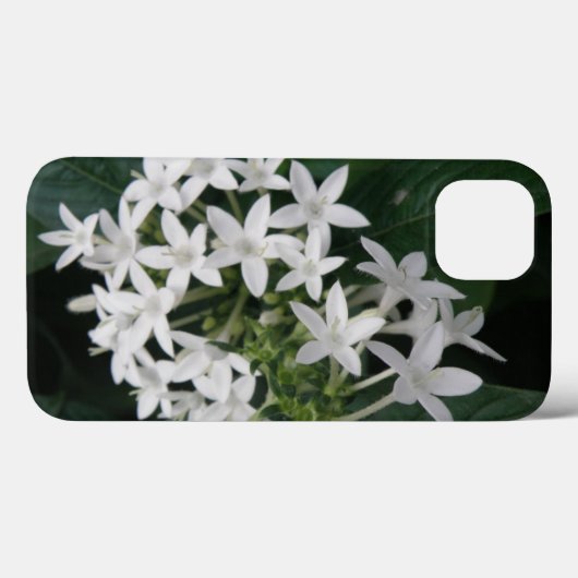 Wunderschönes weißes tropisches Blume iPad Case (Rückseite (Horizontal))