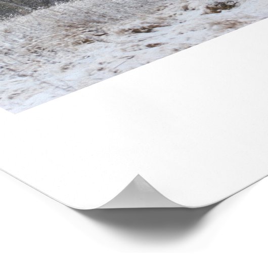 Wunderschönes Winterposter! Poster (Ecke)