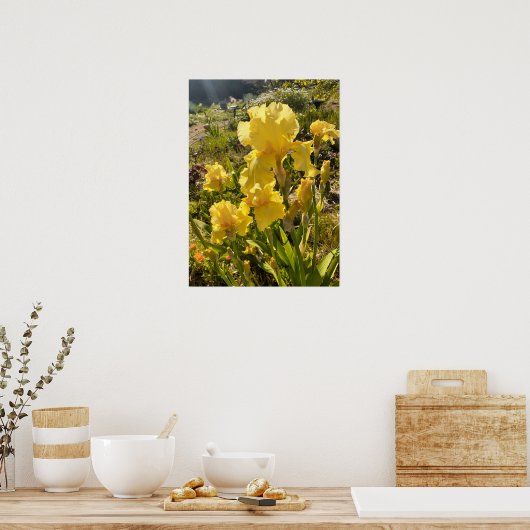 Wunderschönes Yellow Iris Flower Garden Poster (Küche)