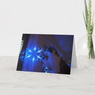 Wunderstern Feiertagskarte