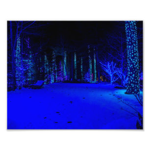 Wundervolle Weihnachtszeit 8 x 10 Kodak Pro Print Fotodruck