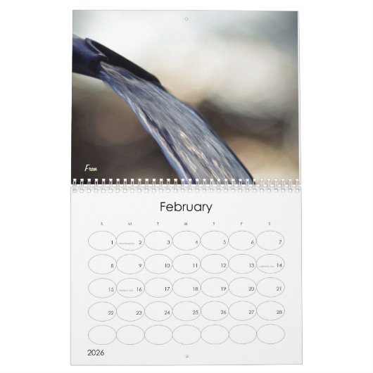 Wunderwasser 2020 kalender (Feb 2026)