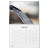 Wunderwasser 2025 kalender (Feb 2026)