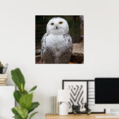 Wunderweißes Owl Poster (Heimbüro)