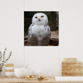 Wunderweißes Owl Poster (Küche)