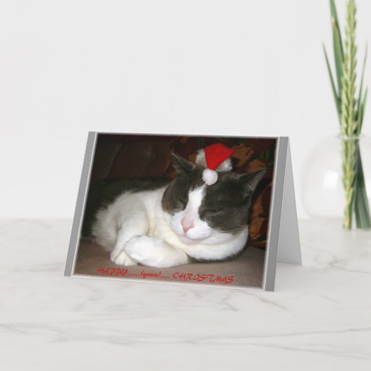 Wunsch einer Katze Weihnachts Feiertagskarte (Vorderseite)