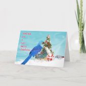 Wunsch Sie Feiertagskarte (Vorderseite)