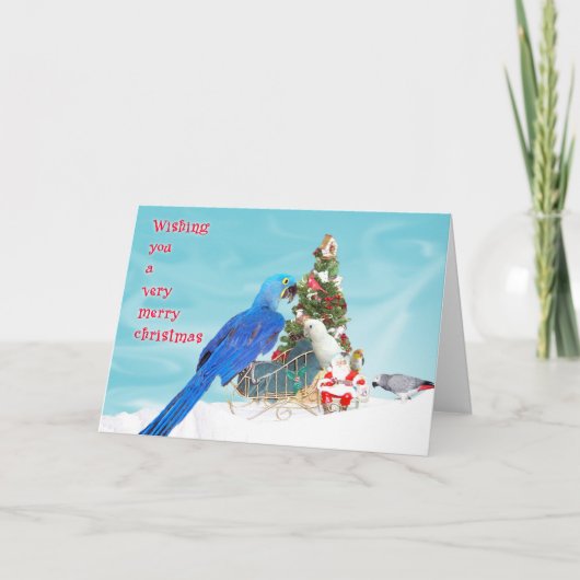 Wunsch Sie Feiertagskarte (Vorderseite)