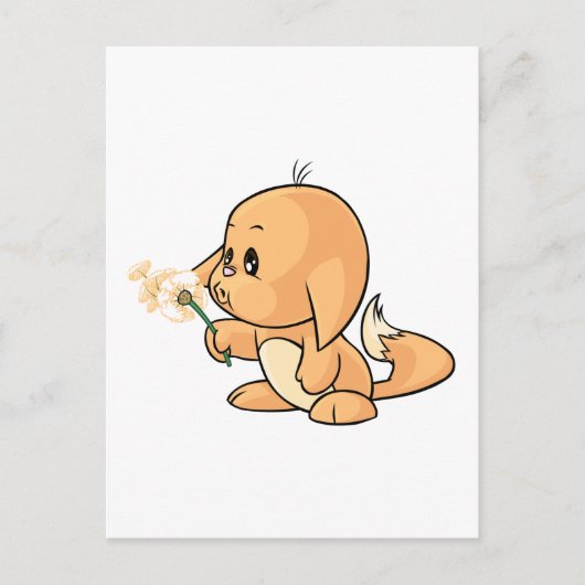 Wunsch von orange Kacheek Postkarte (Vorderseite)