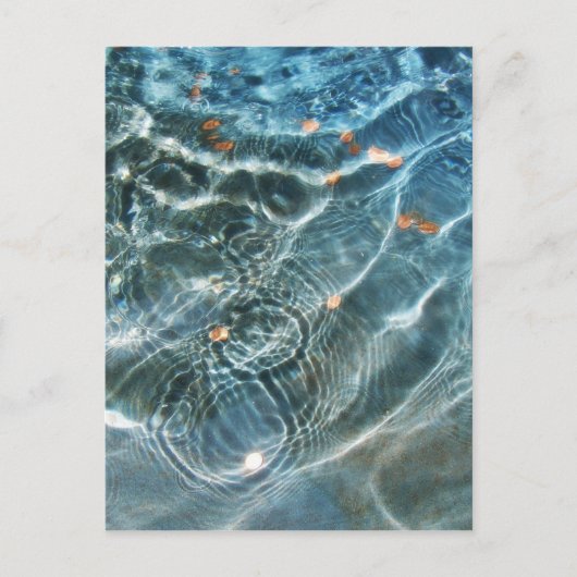 Wunschbrunnen Postkarte (Vorderseite)