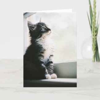 Wunschdenken-Gruß-Karte Karte