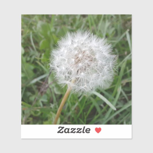 Wünsche Aufkleber (Blatt)