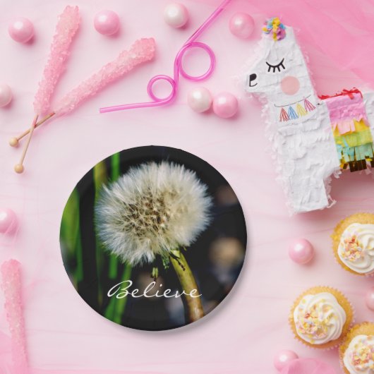 Wünsche, Glauben, Lüster Pappteller (Party)