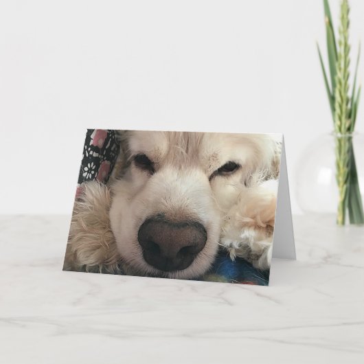 WÜNSCHE ICH "SEE EUCH" FÜR DEINEN GEBURTSTAG KARTE (Vorderseite)