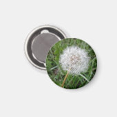 Wünsche Magnet (Vorderseite/Rückseite)