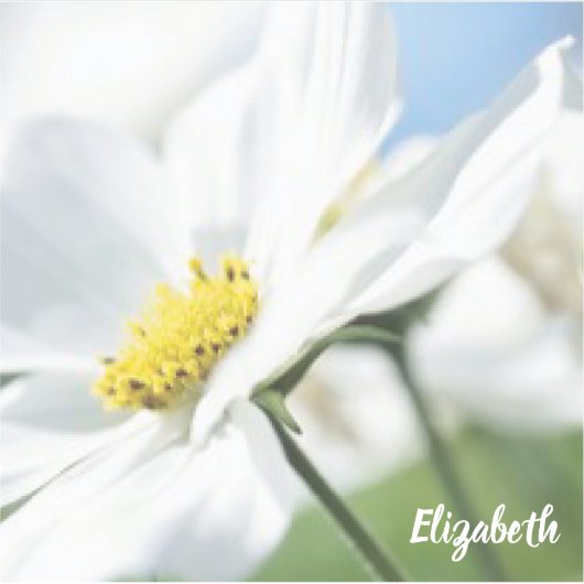 Wünsche mit White Daisies Personalisiert Aufkleber (Vorderseite)