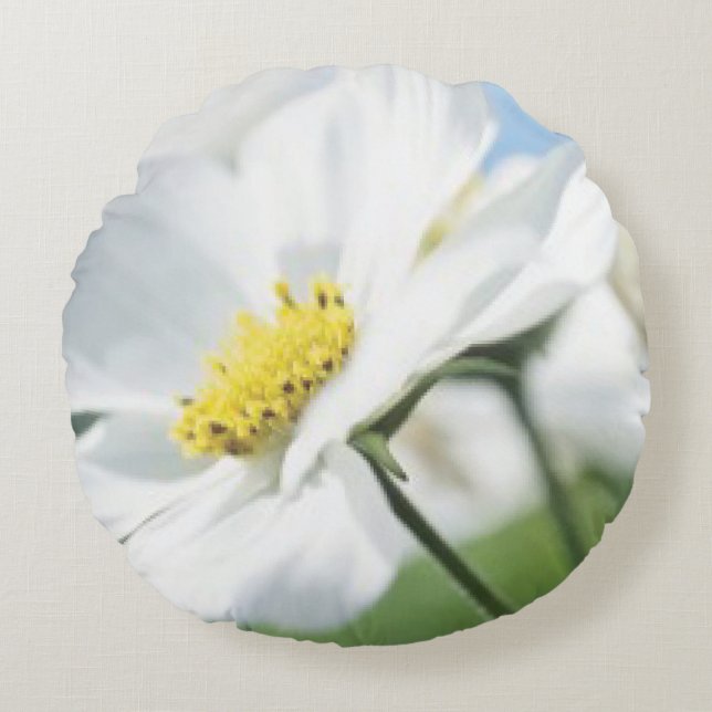 Wünsche mit White Daisies Personalisiert Rundes Kissen (Vorderseite)