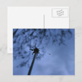 Wünsche Postkarte (Vorne/Hinten)