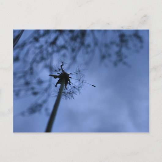 Wünsche Postkarte (Vorderseite)