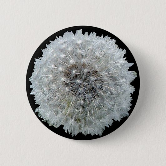 Wünsche sind geckig button (Vorderseite)