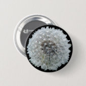 Wünsche sind geckig button (Vorne & Hinten)