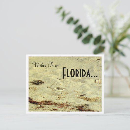 Wünsche von, Florida... Postkarte (Stehend Vorderseite)