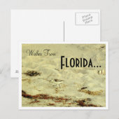 Wünsche von, Florida... Postkarte (Vorne/Hinten)