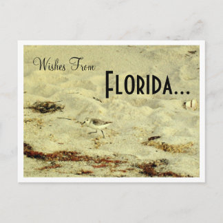 Wünsche von, Florida... Postkarte
