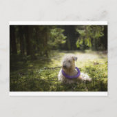 Wünschelrute Postkarte (Vorderseite)