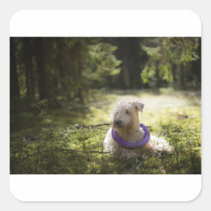 Wünschelrute Quadratischer Aufkleber