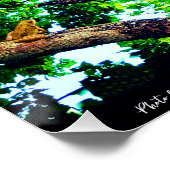 Wünschen Sie einen schönen Tag - Baum - Landleben Poster (Ecke)