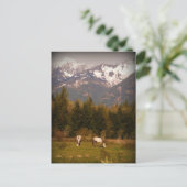 Wünschen Sie sich nach einem Weißen Pferd! Postkarte (Stehend Vorderseite)