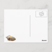 Wünschen Sie sich, Strand Postkarte (Rückseite)