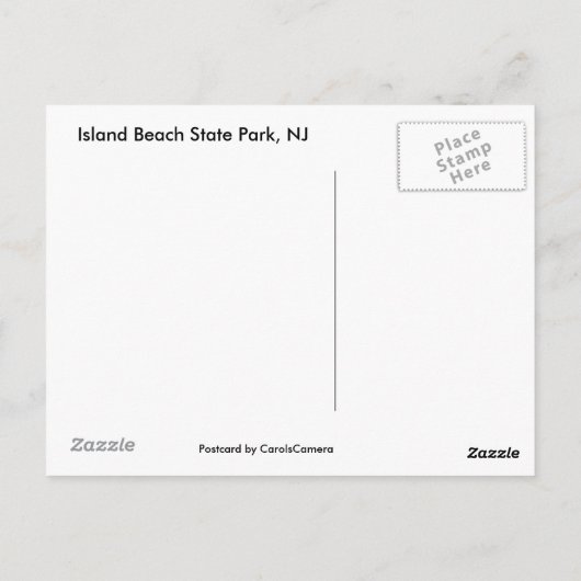 Wünschen Sie waren hier IBSP NJ Gulls Postcard Postkarte (Rückseite)