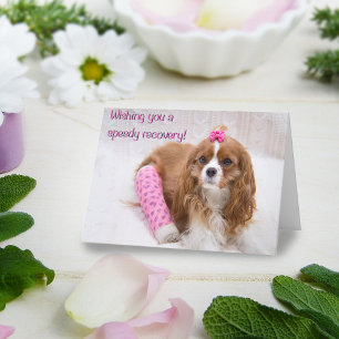 Wunschkarte für eine schnelle Erholung Spaniel Karte