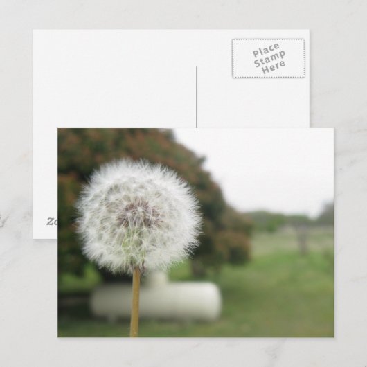 Wunschpostkarte Postkarte (Vorne/Hinten)