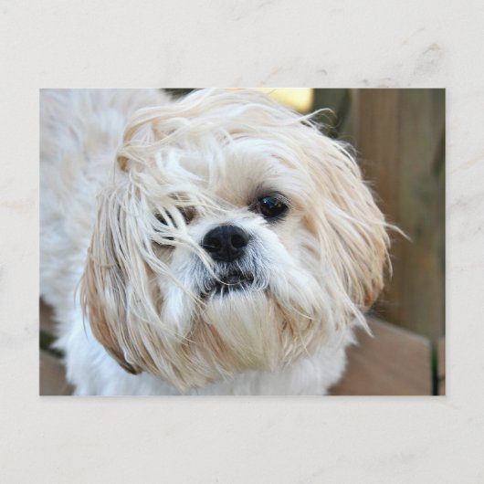 wünschst du wärst hier postkarte (Vorderseite)