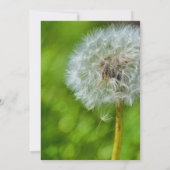 wünscht Dandelion Floral Wedding Einladung (Rückseite)