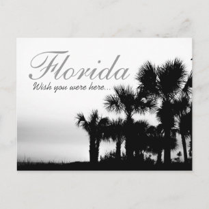 Wünscht ihr euch hier zu befinden - Florida Sonnen Postkarte