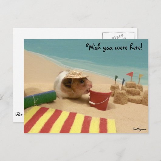 Wünscht, ihr wäret hier! postkarte (Vorne/Hinten)