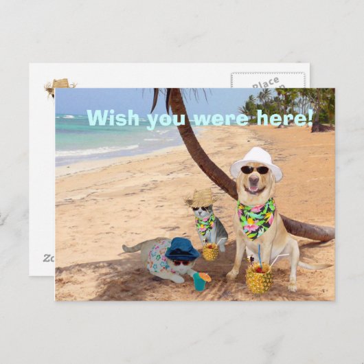 Wünscht, ihr wäret hier! postkarte (Vorne/Hinten)