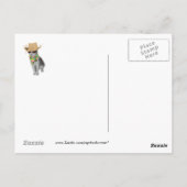 Wünscht, ihr wäret hier! postkarte (Rückseite)