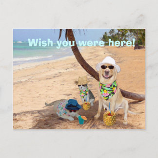 Wünscht, ihr wäret hier! postkarte
